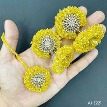 AJ-E221