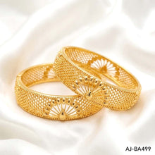 Bangles Pair AJ-BA499