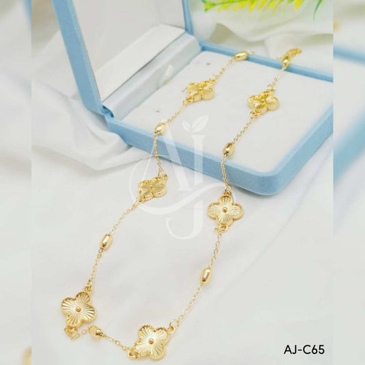 AJ-C65