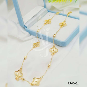 AJ-C65