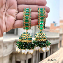 Nauratan Earrings AJ-E691