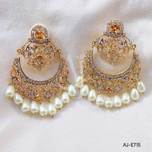 Party Wear Earrings AJ-E715