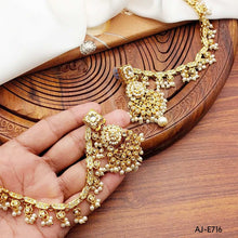 Party Wear Earrings AJ-E716