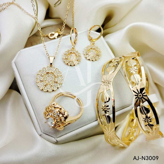 AJ-N3009