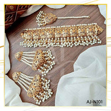 AJ-N101